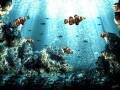 В Китае туристов будут перевозить в подводной лодке