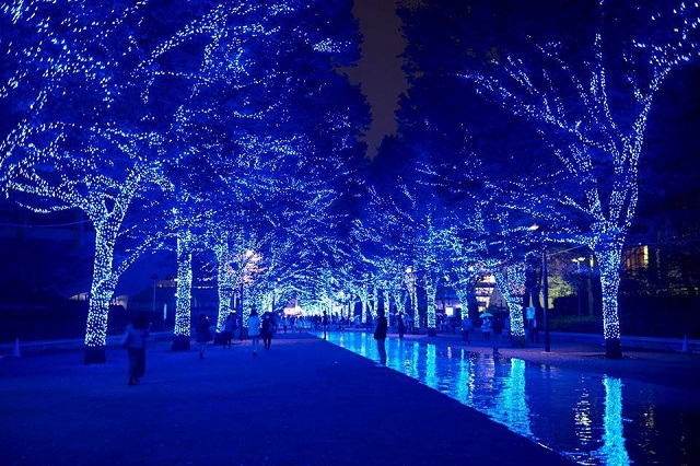 Зимняя иллюминация в Токио