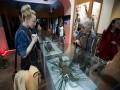 Приморский музей имени В.К. Арсеньева проводит обзорные экскурсии