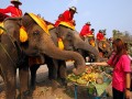 Национальный день тайского слона