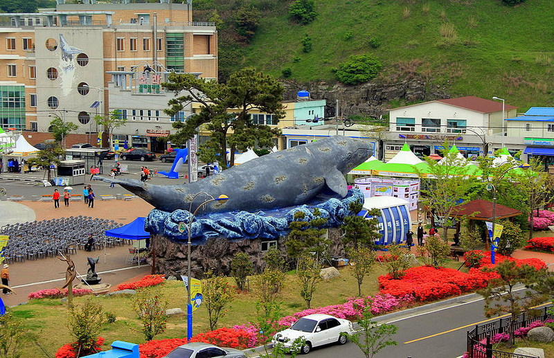 24 апреля откроется фестиваль китов в Ульсане 2014