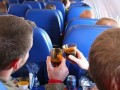 Большинство российских туристов приветствуют «сухой закон» на борту
