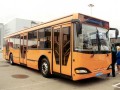Автобусы по льду Амура в Благовещенске будут ходить еще 10 дней