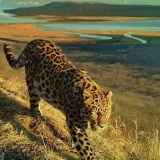 Национальный парк «Земля Леопарда»