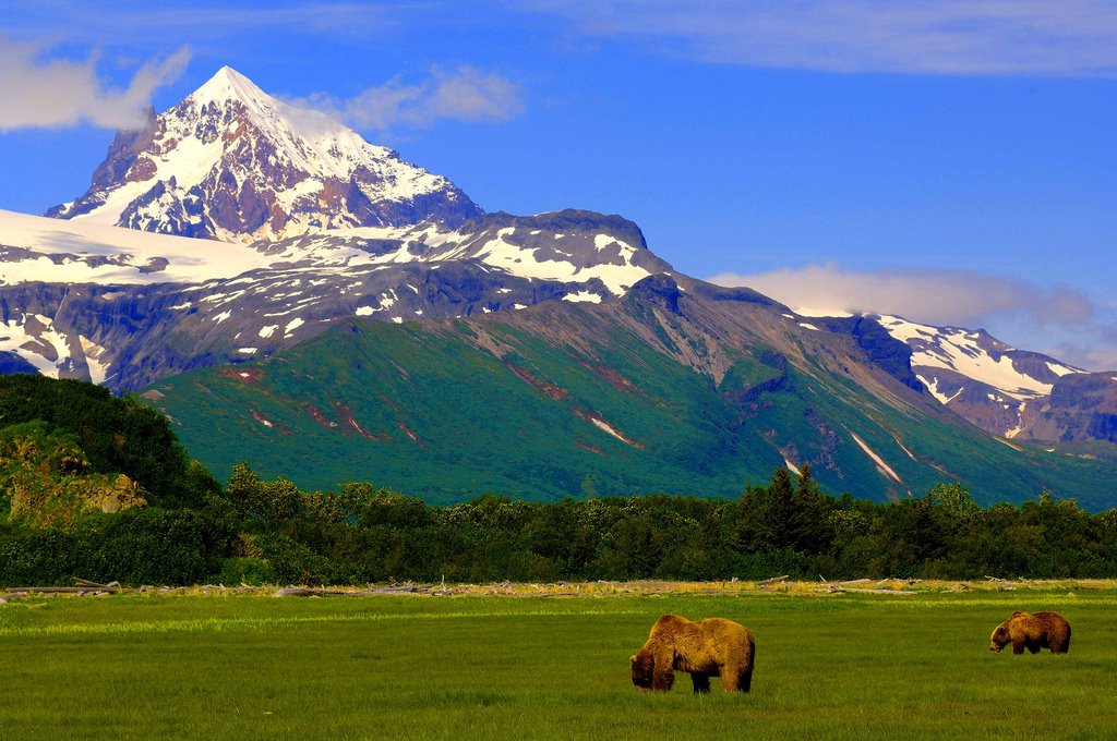 Национальный парк Катмай: сердце дикой природы Аляски