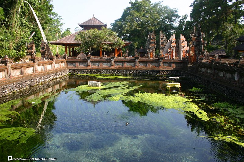 Бали - «остров богов»(ч.2)