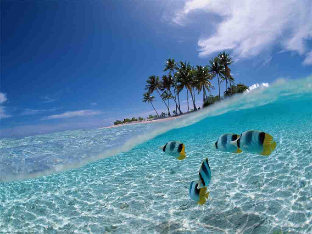 Открывая рай на Бали и островах Гили